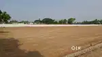 Individual houses and open  plot