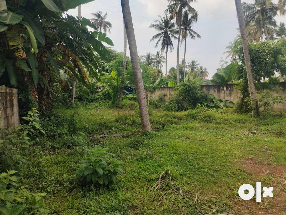 (ID-K196986) 4.8 Cent Land For Sale At Pattom