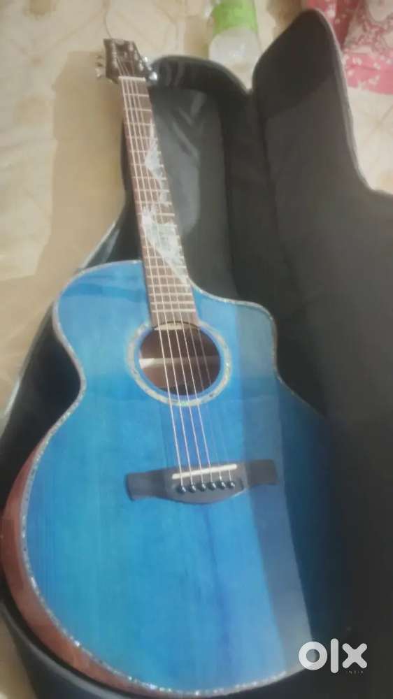 Strydom s140c accoustic guter