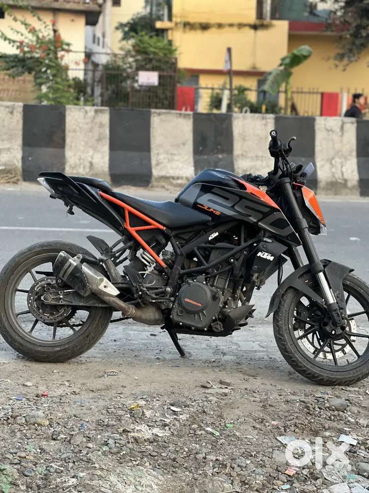 Duke 250 For Sale