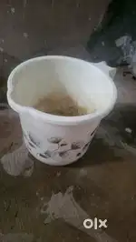 Classic Royal Bathroom Mug