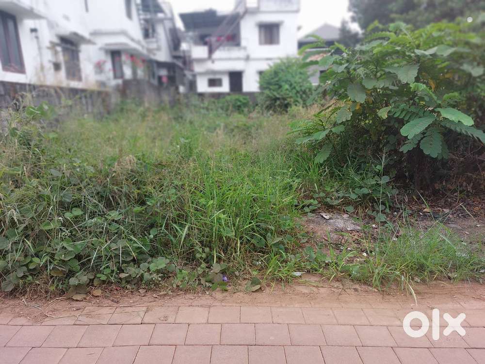 sale/exchnge with house 4.65 CENTS  30MTRS EDAPPALLY PUKKATTUPADY ROAD