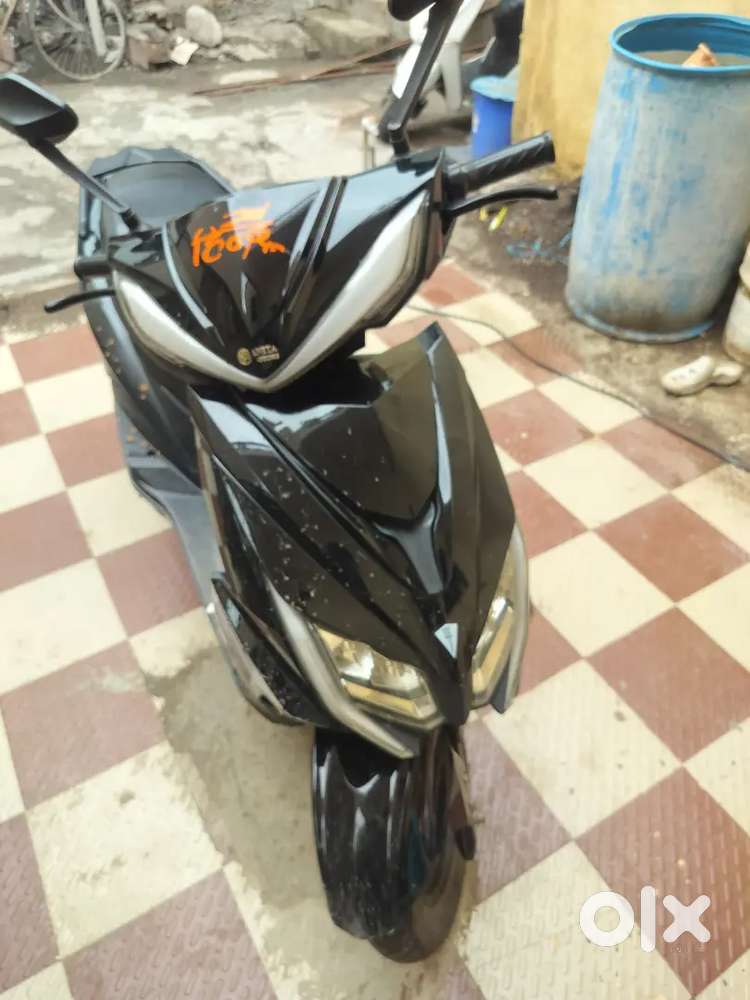 A 5 month old scooter