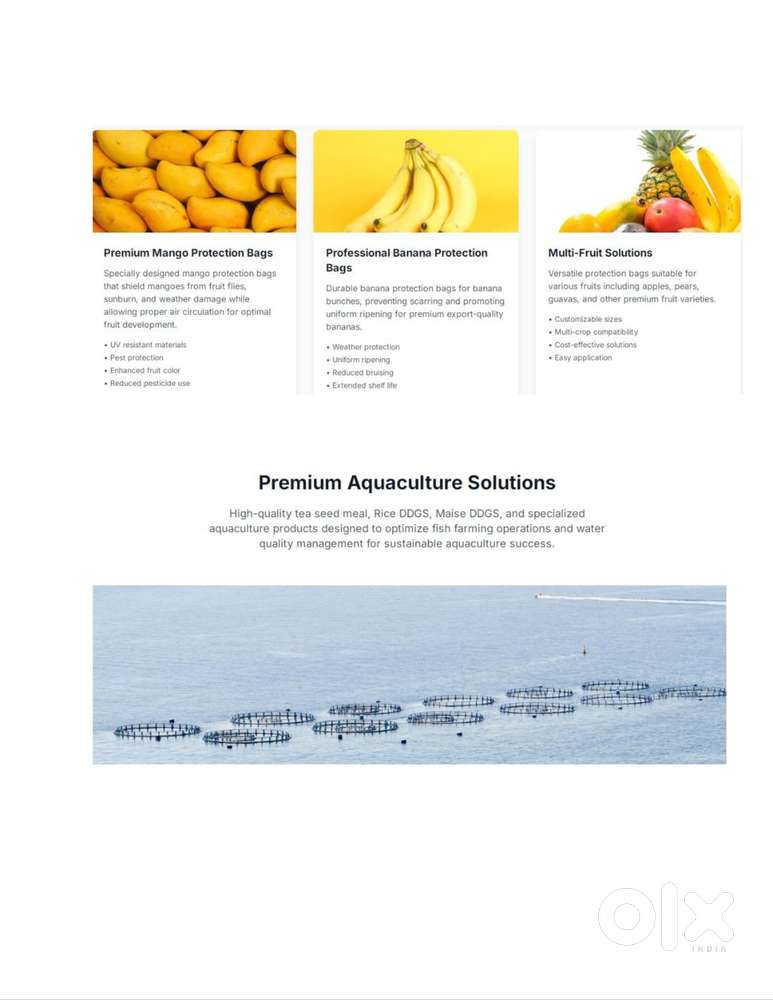 Marketing & Business Development Executive