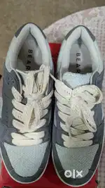 The Bear House Shoes