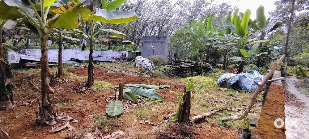 10 CENT LAND FOR SALE AT MOOKKANNOOR PARAMBAYAM