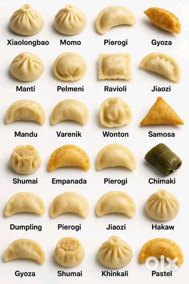 Indian Chinese Continental Italian roll wraps chef available