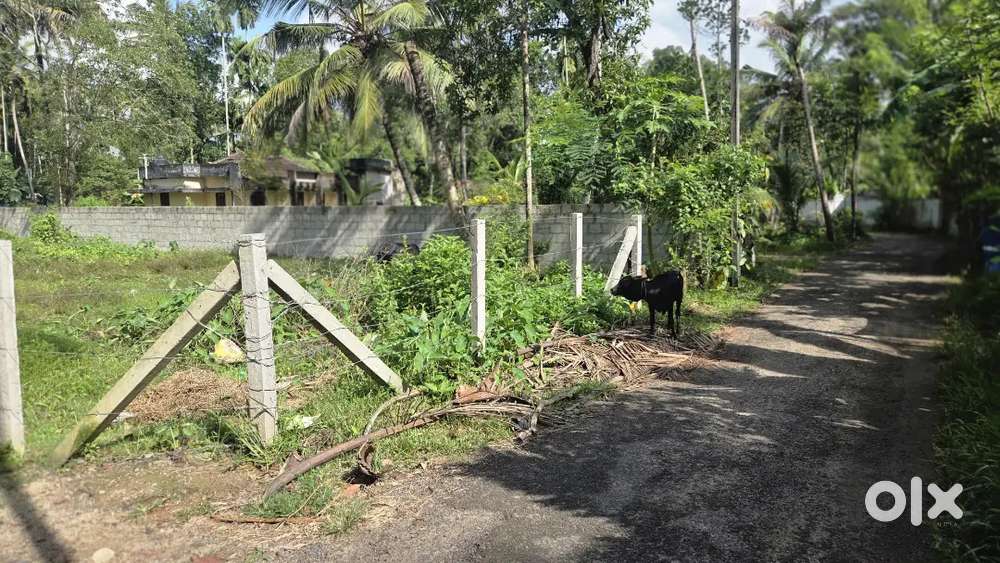 5 cent plot ചേർത്തല കെഎസ്ആർടിസി ബസ്റ്റാൻഡ് ഒന്നര കിലോമീറ്റർ കിഴക്കോശം