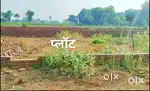 सस्ता प्लॉट कृष्ण नगर छिबरामऊ