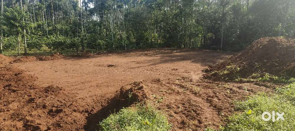 17 cent house plot for sale