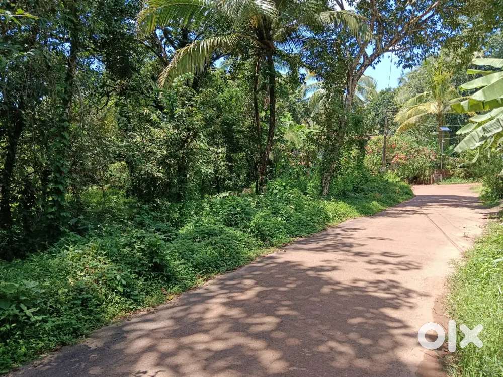 House plot for sale at Eachur