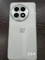 One plus 13
