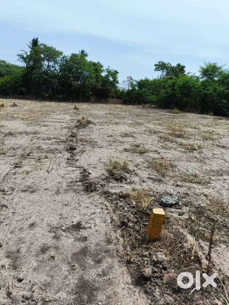 9 Flat For Sale ( 30 Cent )