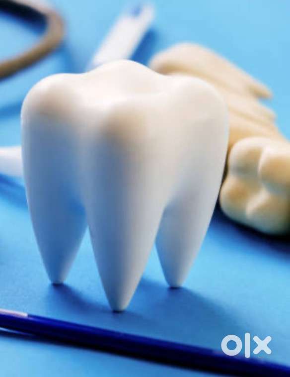 Office assistant for dental lab