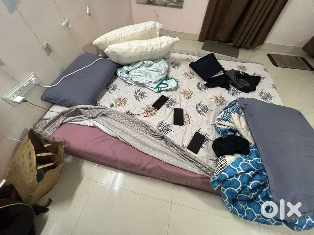 Sleepy cat matress