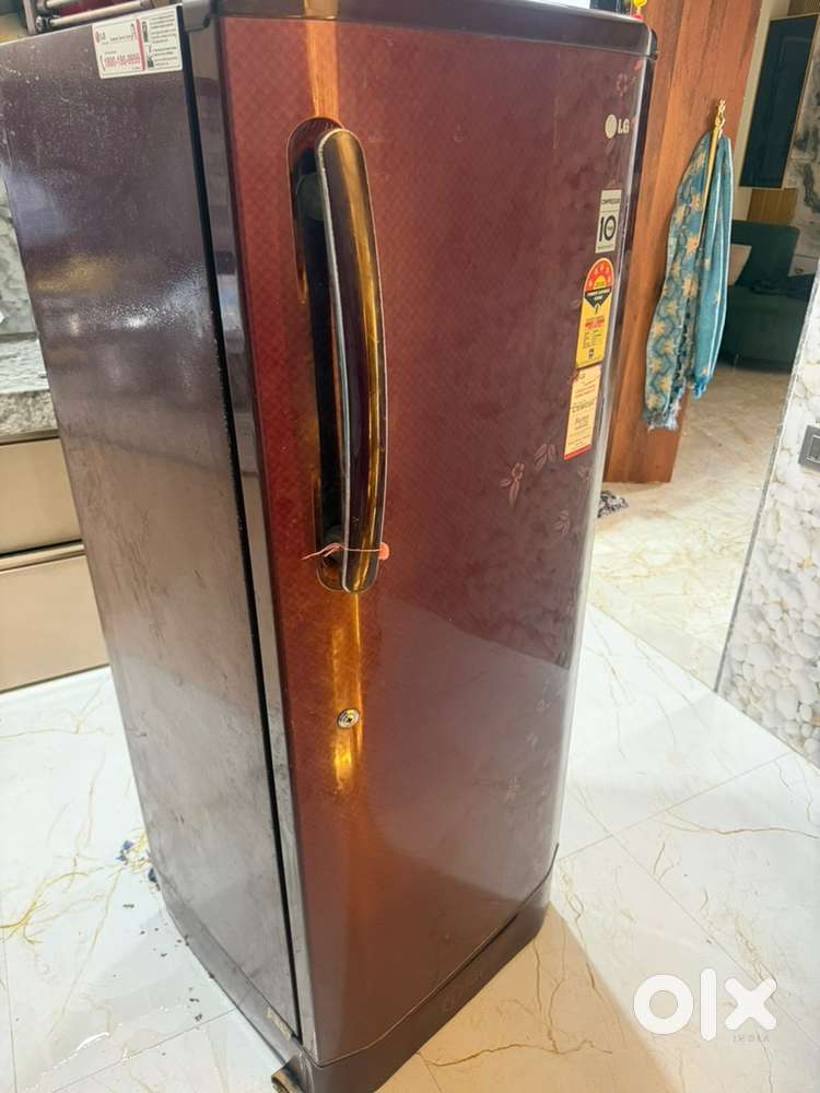 Big one door  fridge of LG