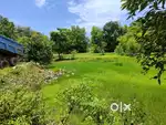 Plot for Sale in Kanasgeri