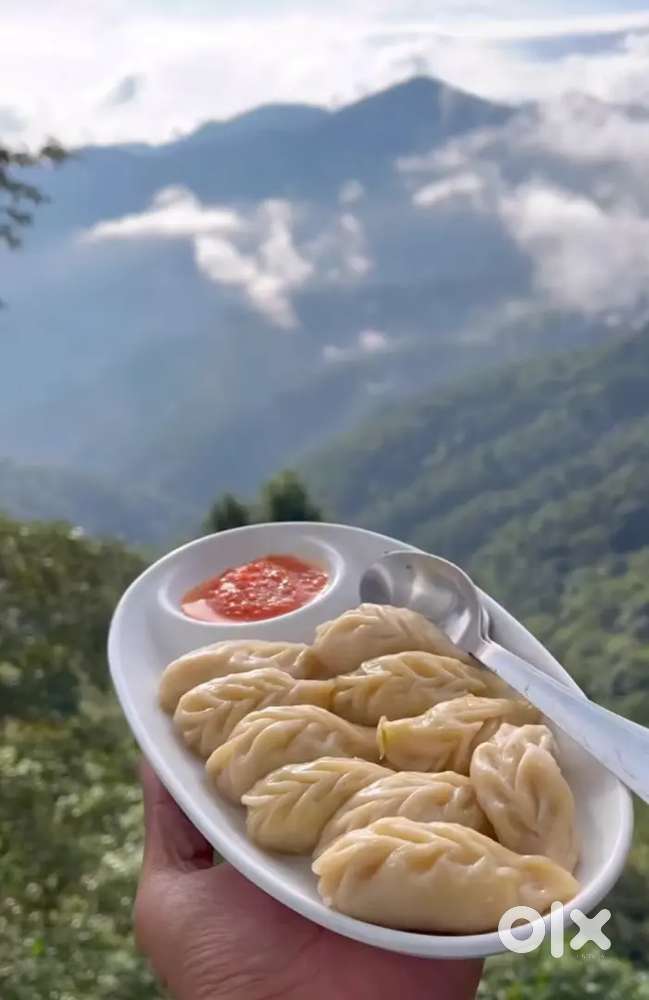 Momo and Chinese cook