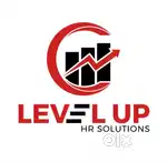 Sales Executive