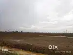 Agriculture land Available for sale, Godavarru to Ananthavarapadu road