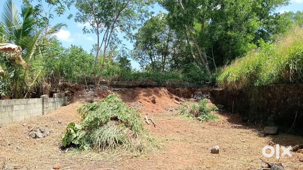 Land for sale in thachottkavu manjadi