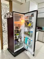 LG 270L 5- Star Single Door Fridge — Fast Ice Making