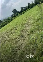 15bhigah property sale for Kotabag 31lakh per bhigah