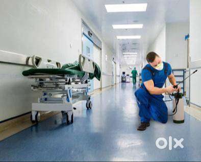 Pest control technician