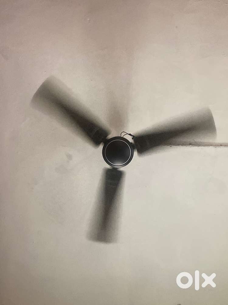 Looking for female flatmate