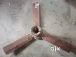 Calling fan