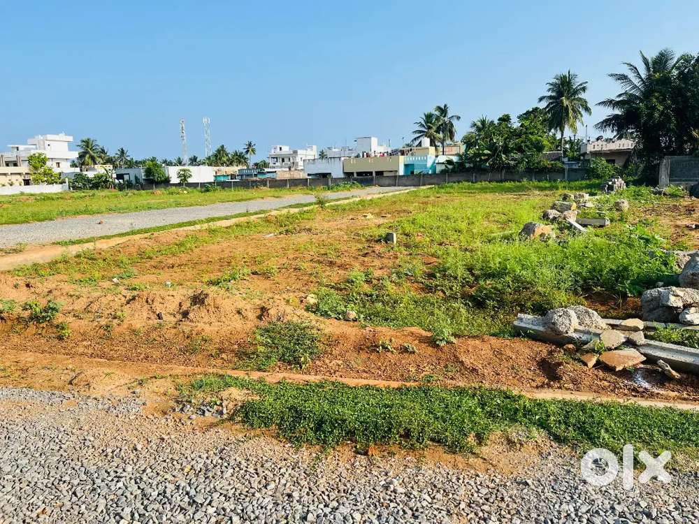 Beautiful housingplots-Bhogapuram