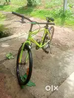 Mach city light green colour