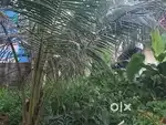 Plot for sale