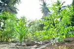 JEEVANA NIDHI DEVELOPERS