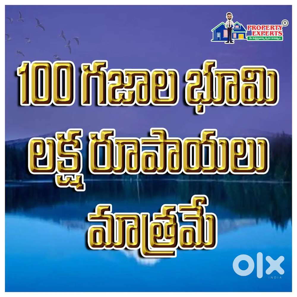 Property expert mi future ki starting point