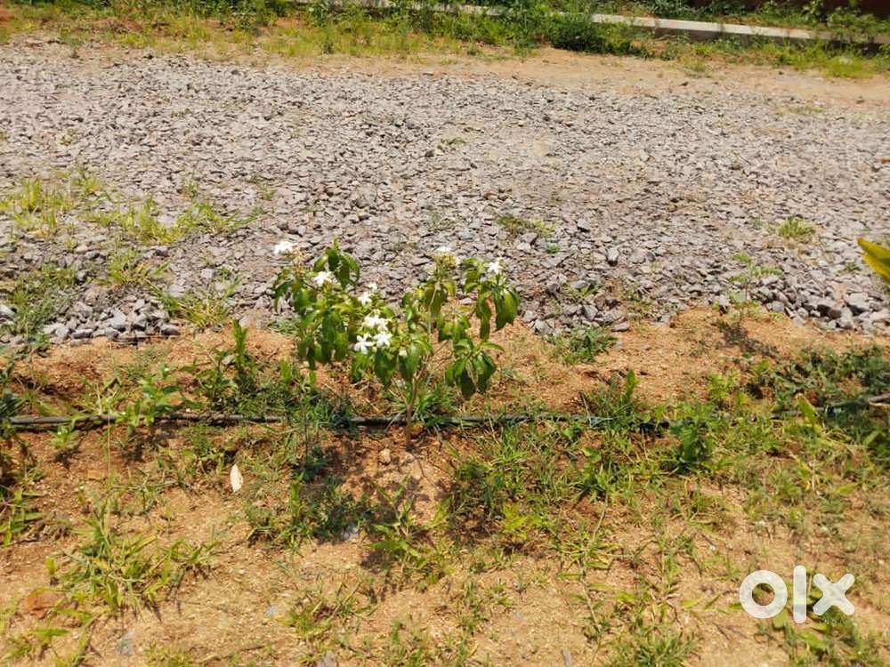 Mega Real Estate Opportunity – 60 Acres – @ ₹1900/Syd