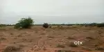 Redsand land sales on vanthavasi cheyyar