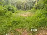 50 cent plot for sale