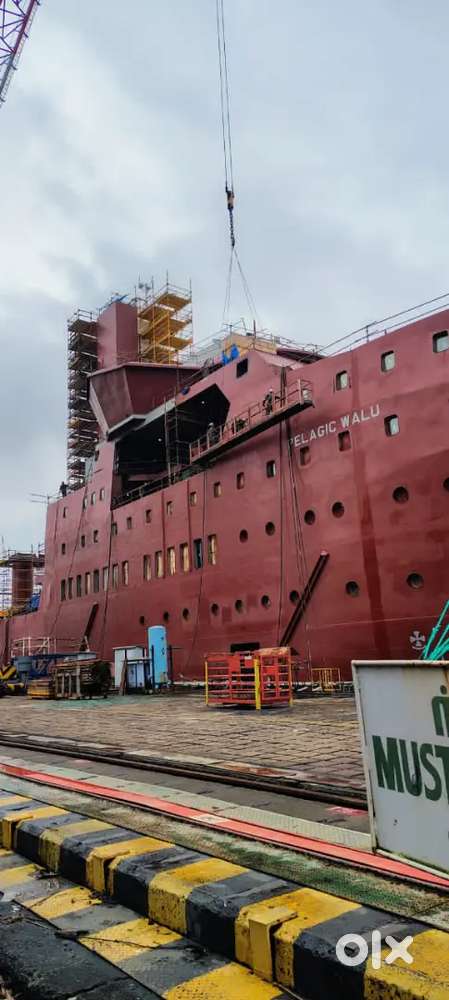 Smart&young procurement assistant