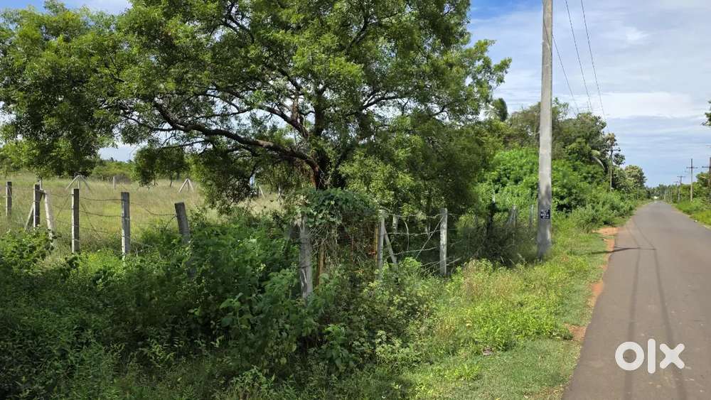 DTCP Approved plot for sale in Guduvancherry
