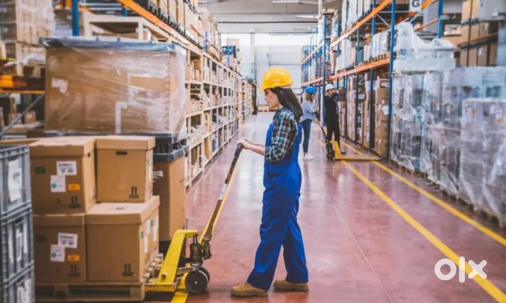 WAREHOUSE RECRUITMENT - FRESH OPENING