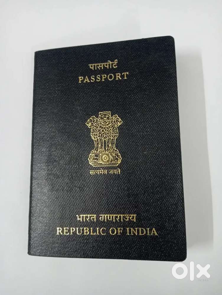 Need Boy or Girl For Job