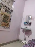 Need a girl roommate