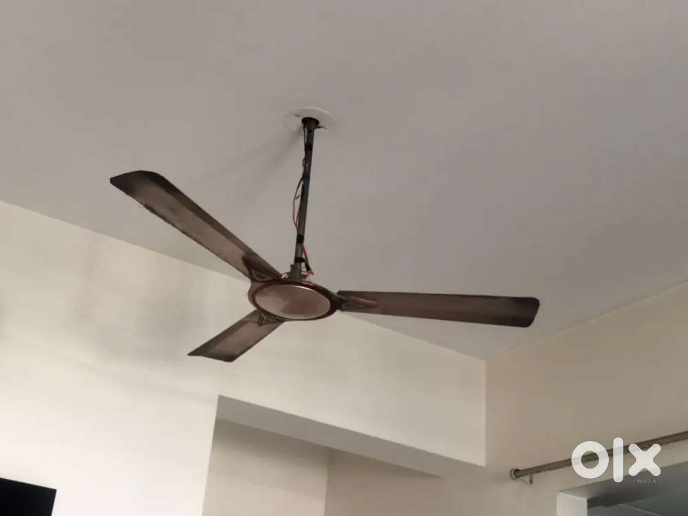 Ceiling fan