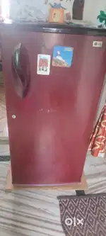 LG Refrigerator,   model  unknown, 13 YEARS