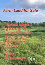 Fertile Farmland For Sale