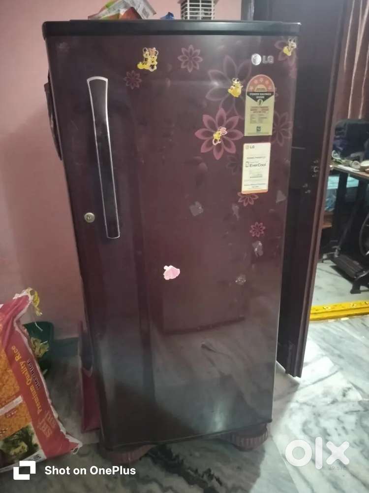 Lg single door