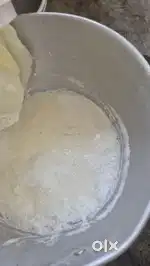 Devbhoomi Dairy ( Near kargi chowk )