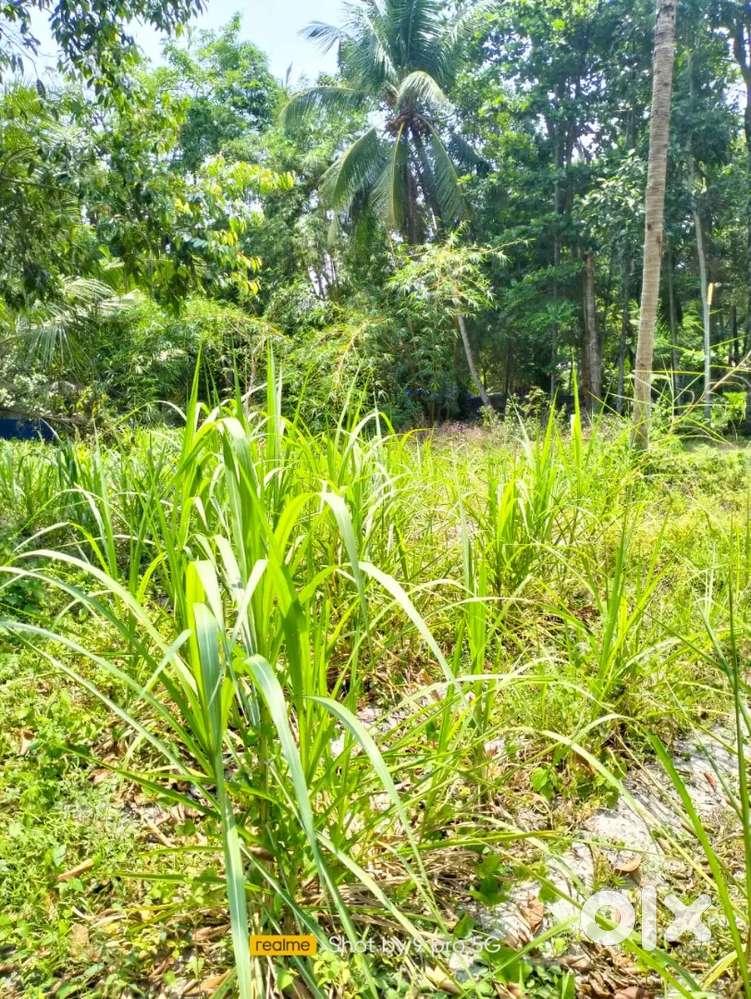 കളവംകോടം ശക്തിശ്വരം ക്ഷേത്രത്തിന് തെക്ക് വശം 32 സെന്റ് ഭൂമി