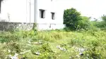 Velammal School Near Property For Sale